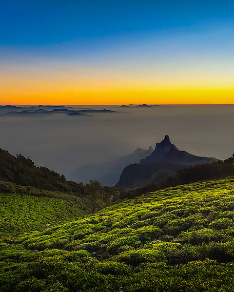 A view of the Nilgiris